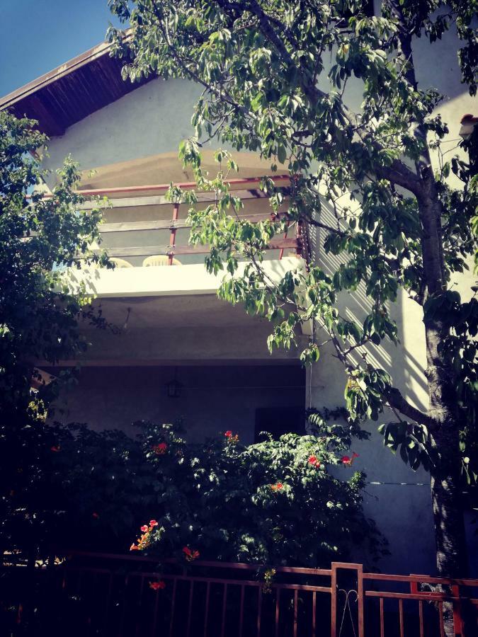 Villa Letina Sukosan Exterior photo