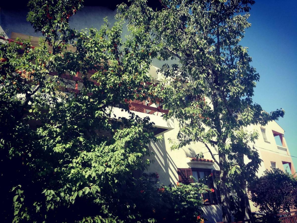 Villa Letina Sukosan Exterior photo